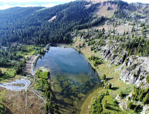 Forest Service Dams