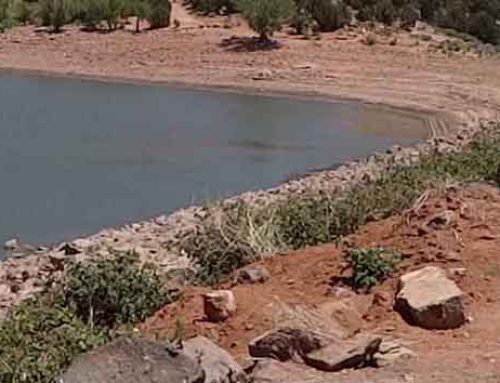 Baker Dam Remediation