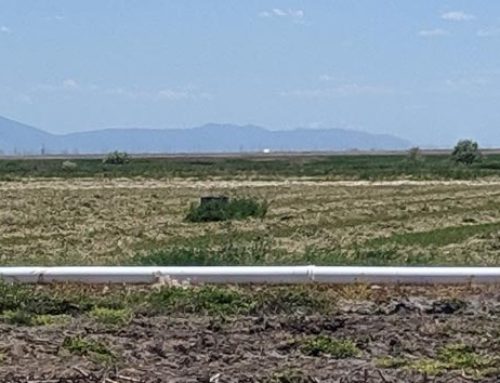 West Davis Corridor